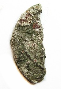 аверс Античная монета · Denarius · X в.