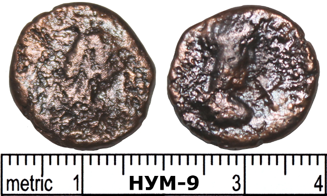 Античная монета · Stater · III в., Черноморский центр подводных исследований