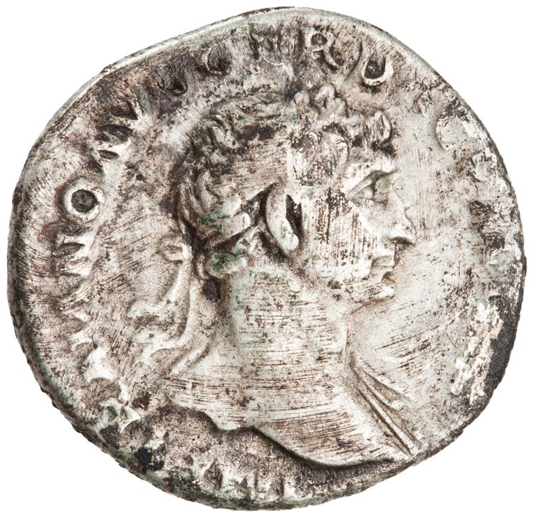 RIC II Trajan 91, obverse, American Numismatic Society (ans)