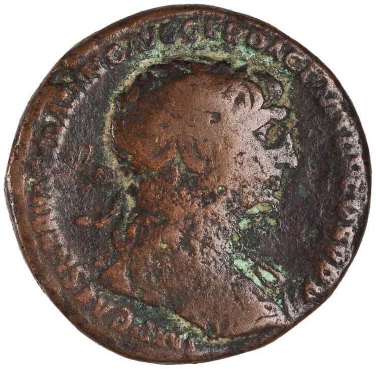 RIC II Trajan 489 (as), аверс, American Numismatic Society (ans)