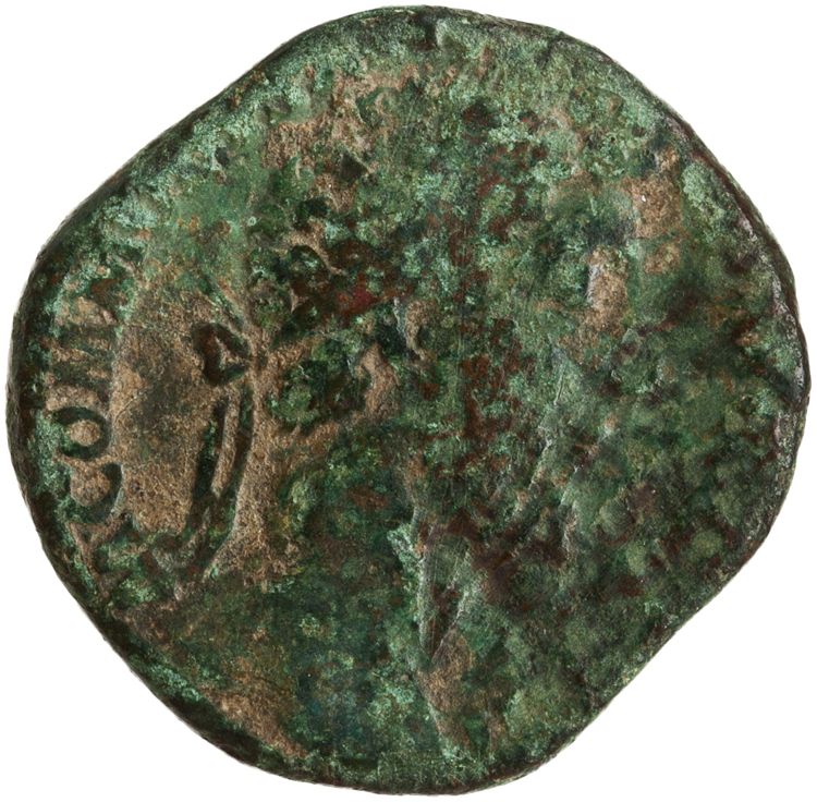 RIC III Commodus 451, аверс, American Numismatic Society (ans)