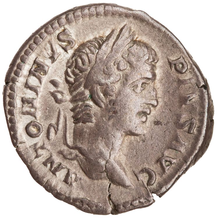 RIC IV Caracalla 181, obverse, American Numismatic Society (ans)
