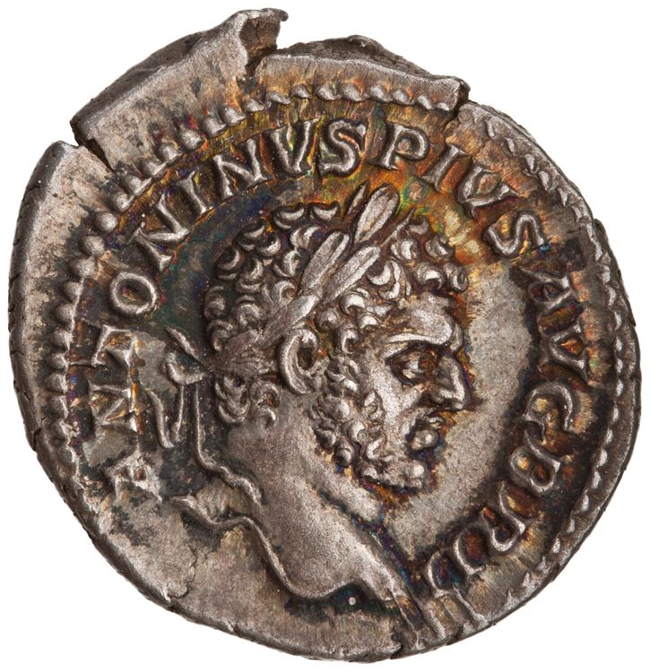 RIC IV Caracalla 223, аверс, American Numismatic Society (ans)