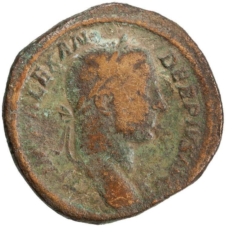 RIC IV Severus Alexander 513, obverse, American Numismatic Society (ans)