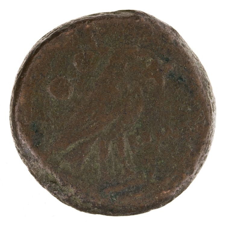 RRC 39/3, reverse, American Numismatic Society (ans)