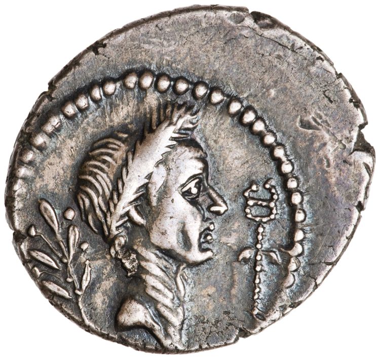 RRC 494/24, obverse, American Numismatic Society (ans)