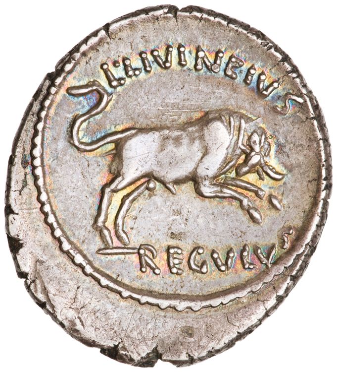 RRC 494/24, reverse, American Numismatic Society (ans)