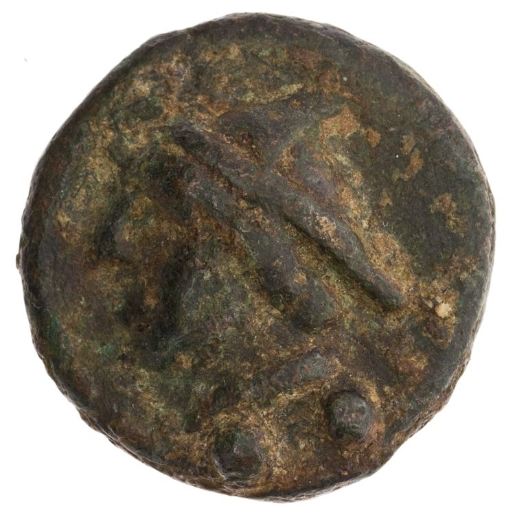 RRC 35/5, аверс, American Numismatic Society (ans)