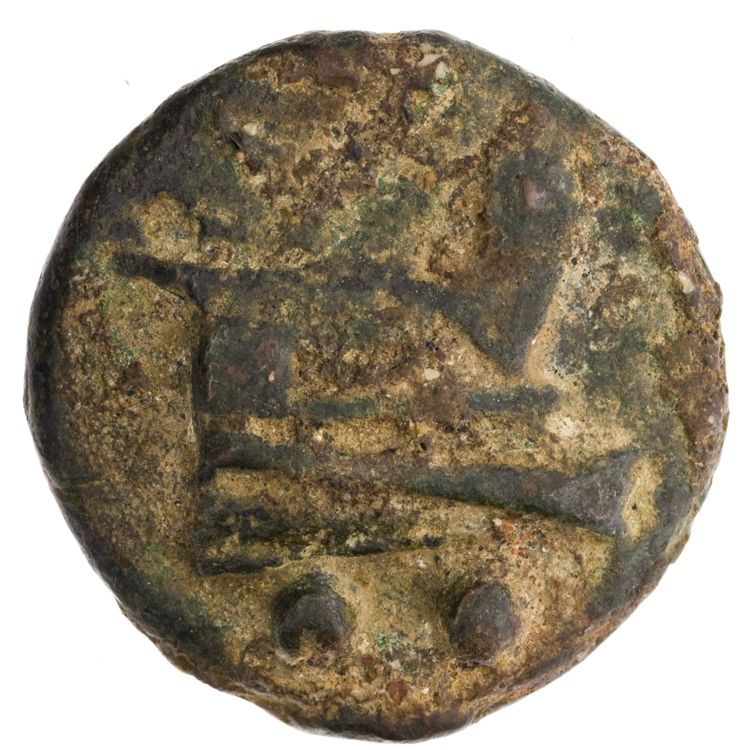 RRC 35/5, реверс, American Numismatic Society (ans)