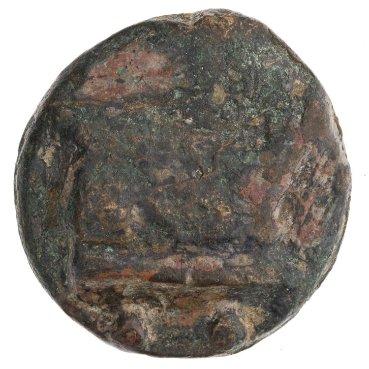RRC 35/5, реверс, American Numismatic Society (ans)