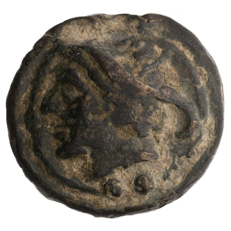 RRC 35/5, аверс, American Numismatic Society (ans)