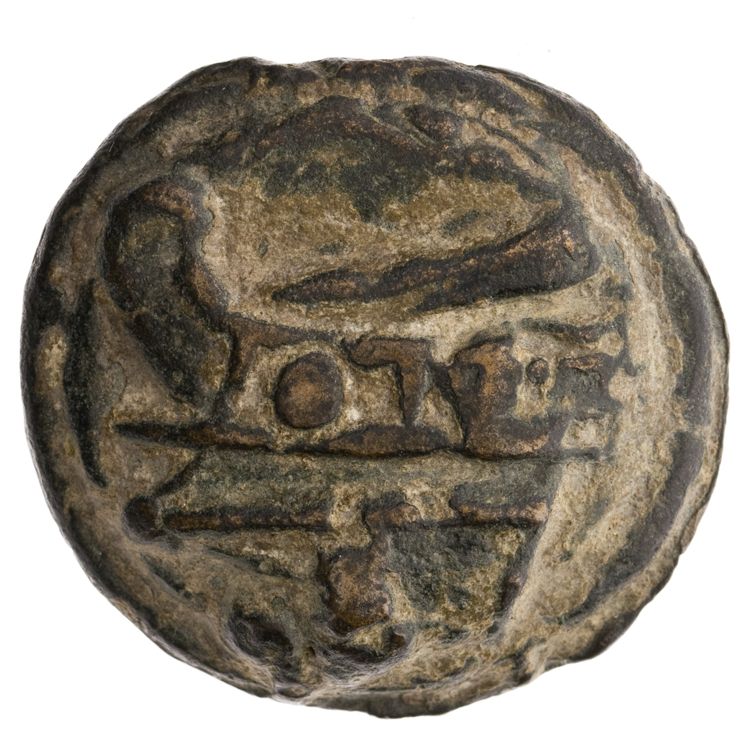 RRC 35/5, реверс, American Numismatic Society (ans)