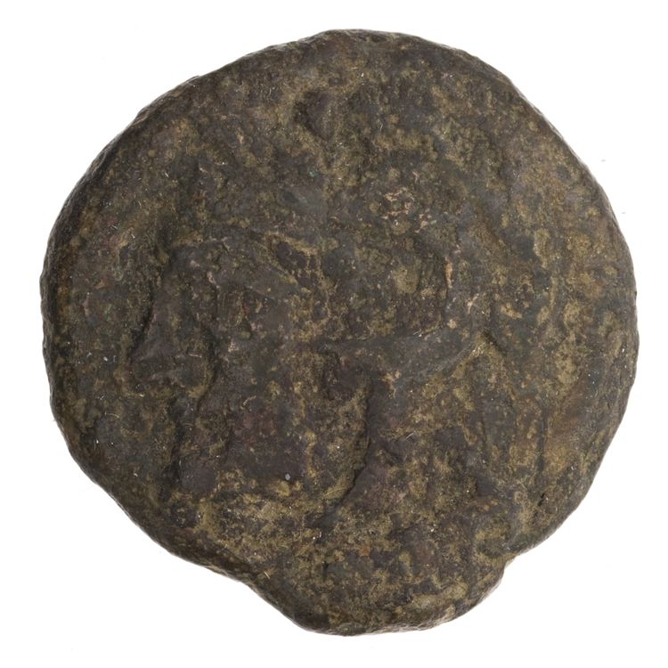 RRC 36/4, аверс, American Numismatic Society (ans)