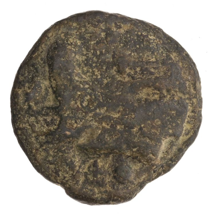 RRC 36/4, реверс, American Numismatic Society (ans)
