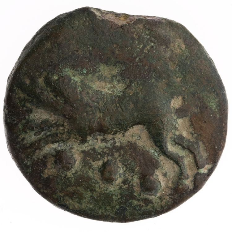 RRC 18/4, аверс, American Numismatic Society (ans)
