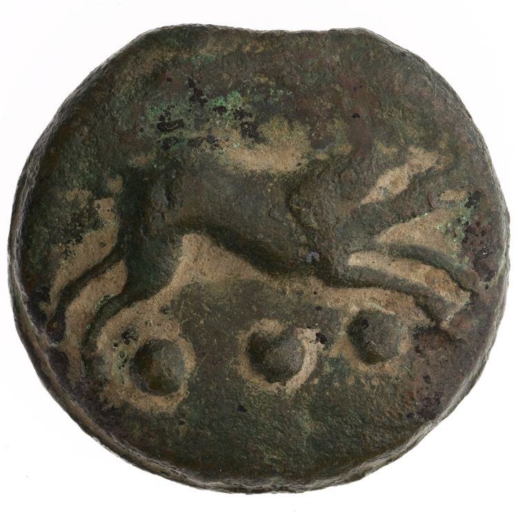 RRC 18/4, реверс, American Numismatic Society (ans)