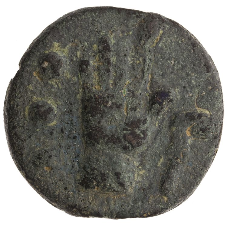 RRC 25/7, реверс, American Numismatic Society (ans)