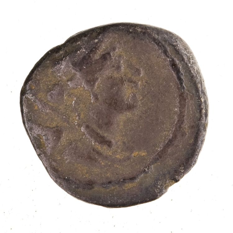 RRC 464/8a, obverse, American Numismatic Society (ans)