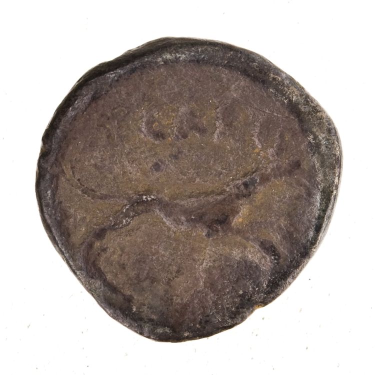 RRC 464/8a, reverse, American Numismatic Society (ans)