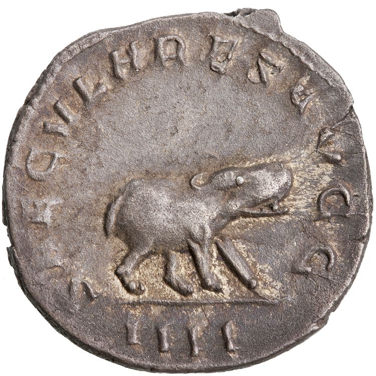реверс RIC IV Philip I 116B