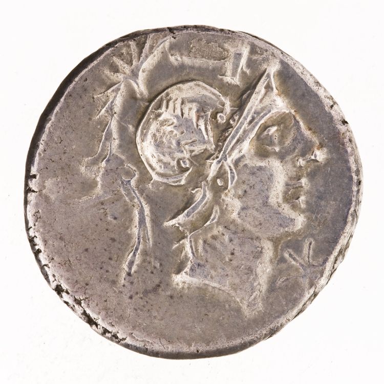 RRC 335/3d, аверс, American Numismatic Society (ans)