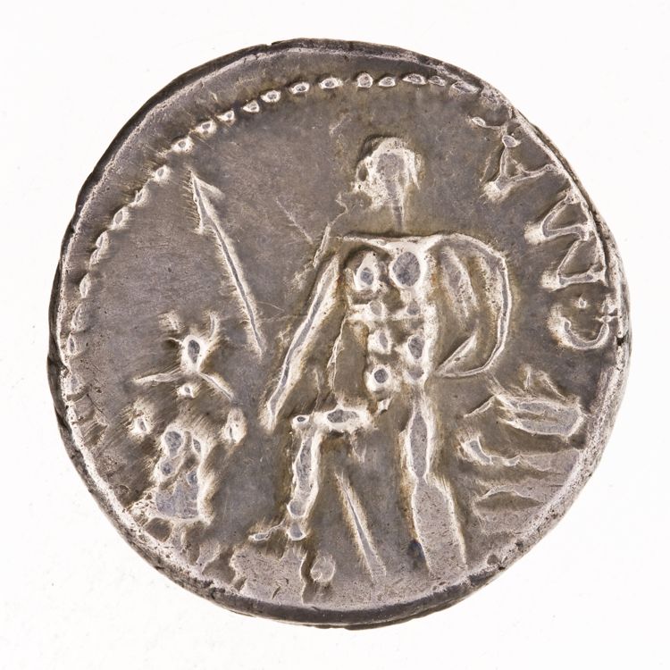 RRC 335/3d, реверс, American Numismatic Society (ans)