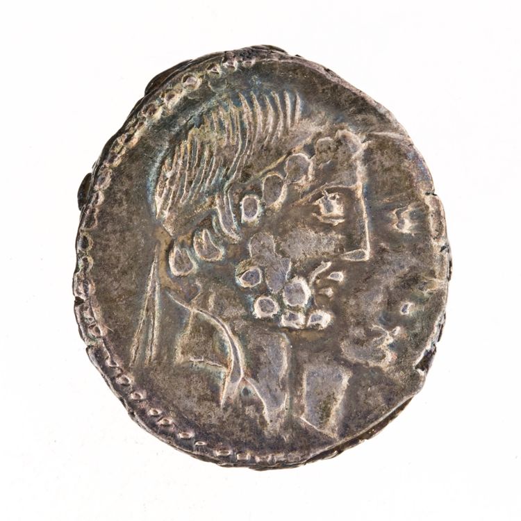 RRC 346/1b, аверс, American Numismatic Society (ans)