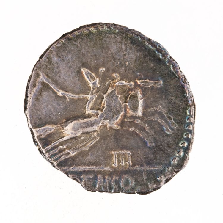 RRC 346/1b, реверс, American Numismatic Society (ans)