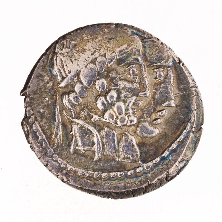 RRC 346/1c, аверс, American Numismatic Society (ans)