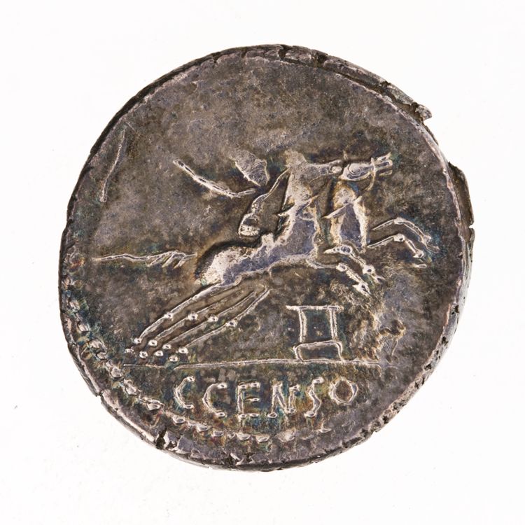 RRC 346/1c, реверс, American Numismatic Society (ans)