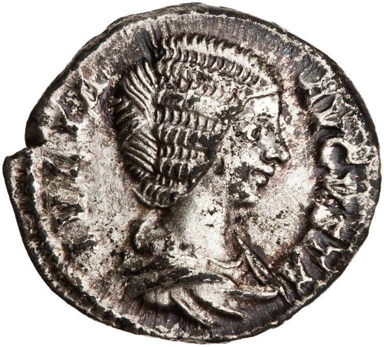 RIC IV Septimius Severus 546, obverse, American Numismatic Society (ans)