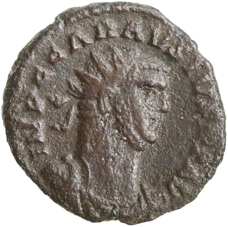 RIC V Carausius 98, obverse, American Numismatic Society (ans)