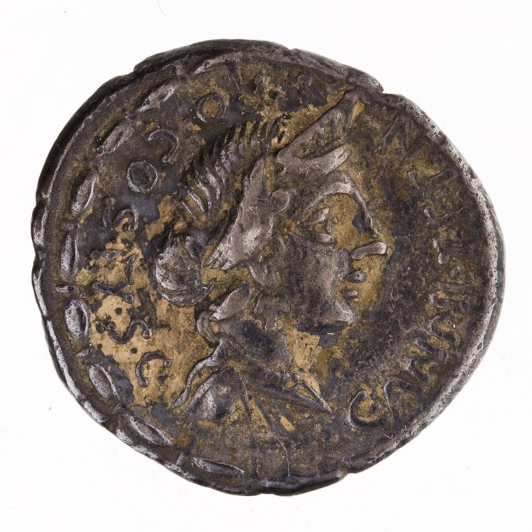 RRC 366/2b, аверс, American Numismatic Society (ans)