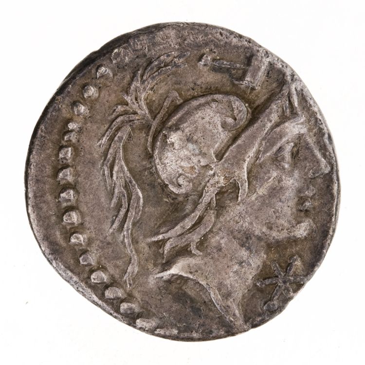 RRC 335/3d, аверс, American Numismatic Society (ans)