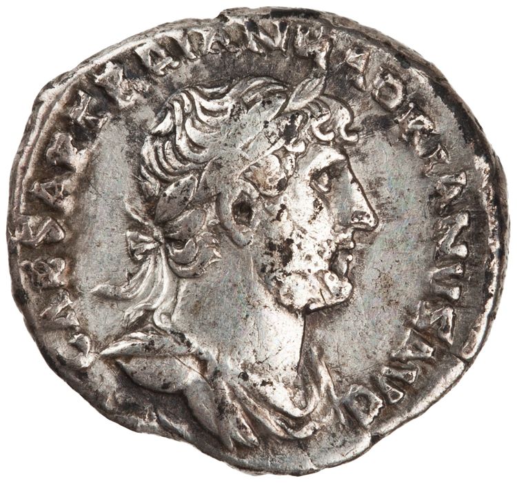 RIC II Hadrian 101b, аверс, American Numismatic Society (ans)