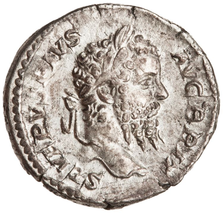RIC IV Septimius Severus 336, аверс, American Numismatic Society (ans)