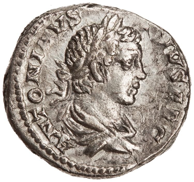 RIC IV Caracalla 150, аверс, American Numismatic Society (ans)