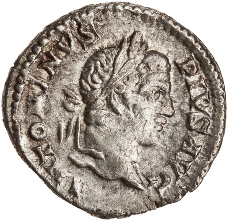 RIC IV Caracalla 175, аверс, American Numismatic Society (ans)