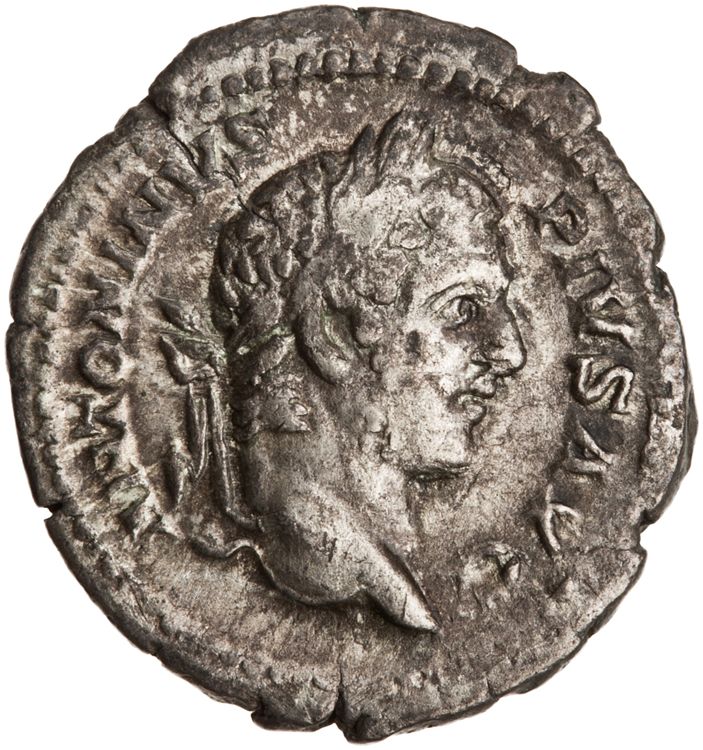 RIC IV Caracalla 108, аверс, American Numismatic Society (ans)