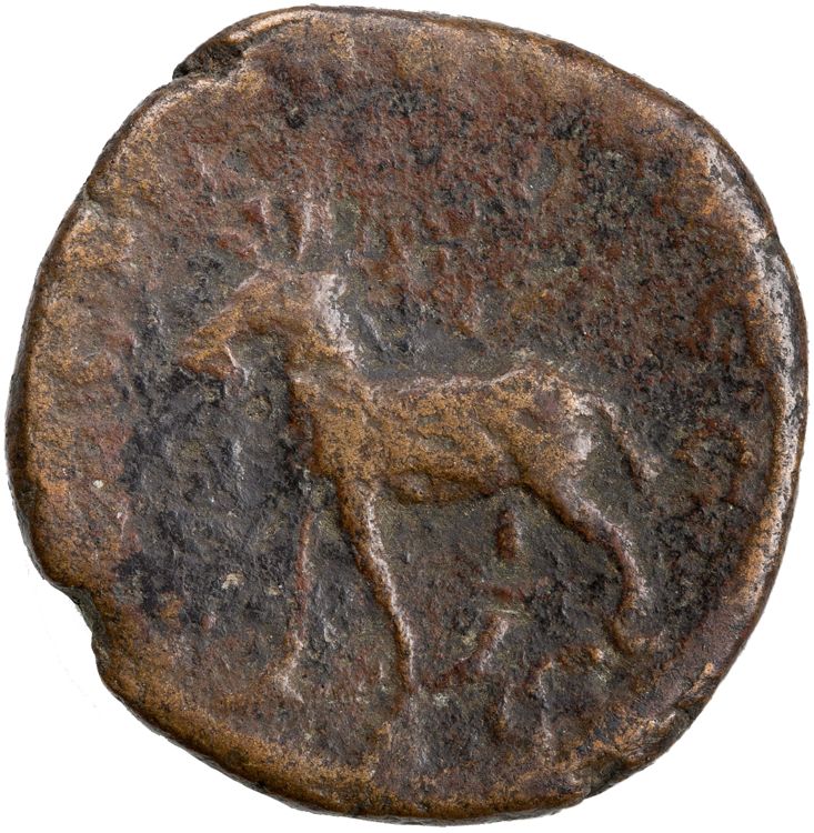 RIC IV Philip I 264A, реверс, American Numismatic Society (ans)