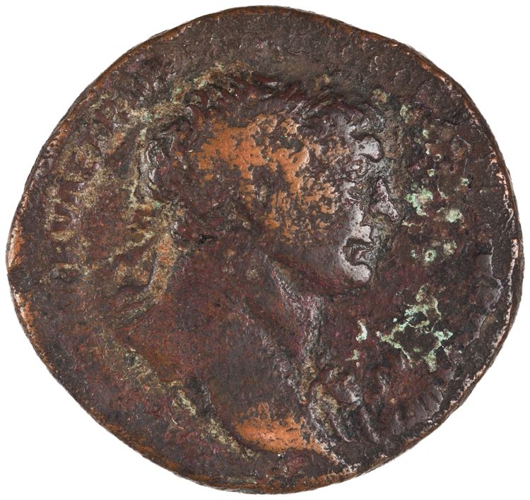 RIC II Trajan 485, аверс, American Numismatic Society (ans)