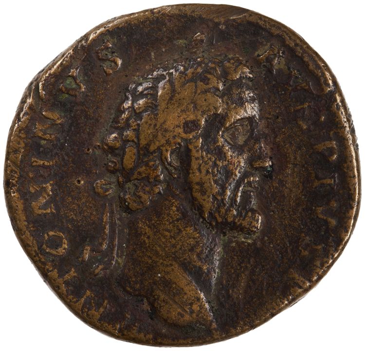 RIC III Antoninus Pius 590, аверс, American Numismatic Society (ans)