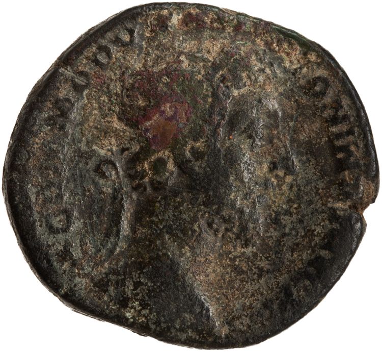 RIC III Commodus 420, аверс, American Numismatic Society (ans)