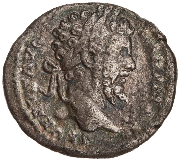 RIC IV Septimius Severus 150, obverse, American Numismatic Society (ans)