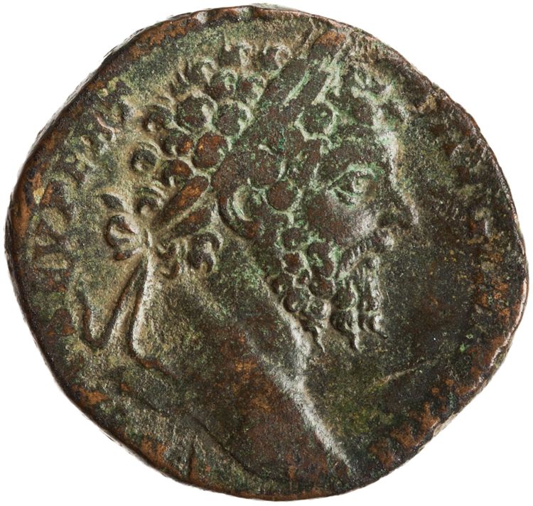 аверс RIC IV Septimius Severus 724b