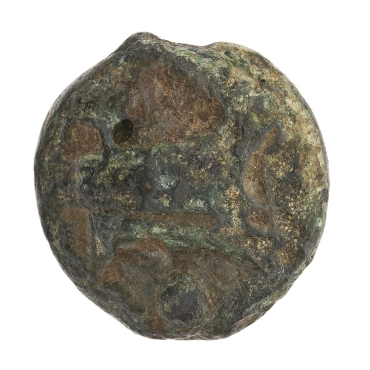 RRC 35/6, реверс, American Numismatic Society (ans)