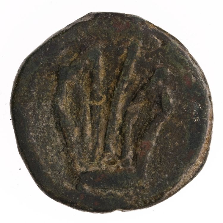 RRC 21/5, реверс, American Numismatic Society (ans)