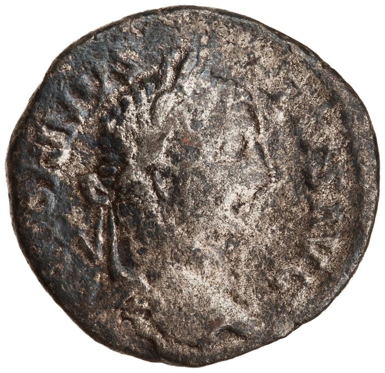 RIC IV Caracalla 161, аверс, American Numismatic Society (ans)