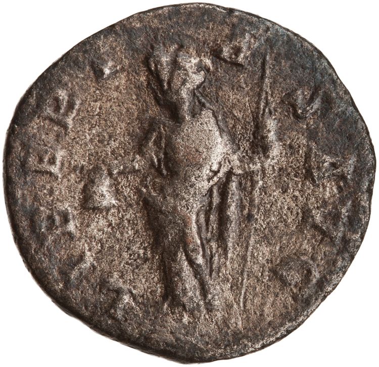 RIC IV Caracalla 161, реверс, American Numismatic Society (ans)