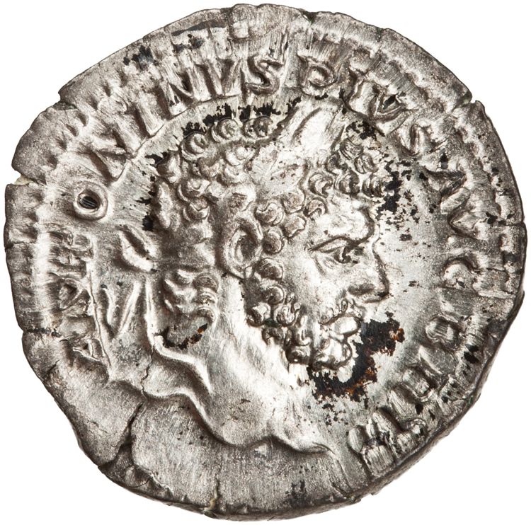 RIC IV Caracalla 224, аверс, American Numismatic Society (ans)